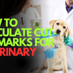 How to Calculate Cut off Marks for Veterinary